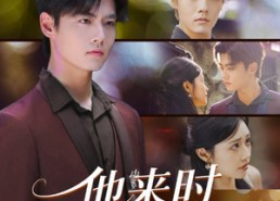 【他来时海风很甜】60集短剧免费在线品看