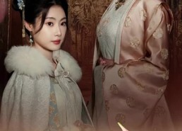 【公主回京后她艳杀四方】36集免费短剧在线观享