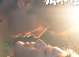 【新贵夫君猜不透】84集免费短剧全集观看