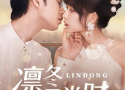 【凛冬予光时】60集精彩短剧在线免费观