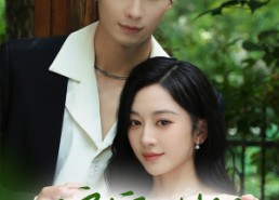 【偏宠法则】80集在线免费短剧尽情观看