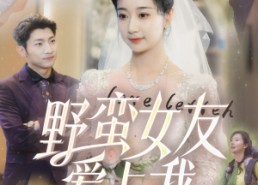 【野蛮女友爱上我】100集短剧免费即点即看