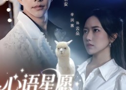 【心语星愿之羊驼】60集全网免费短剧在线观看