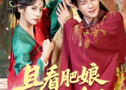 【且看肥娘扶儿上皇位】60集短剧资源免费在线观