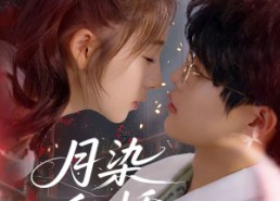 【月染私桥】82集短剧免费完整观览