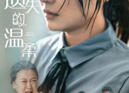 【新遗失的温柔】77集高清短剧在线免费观赏