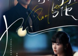 【灯火阑珊与他】80集短剧全集免费在线速览