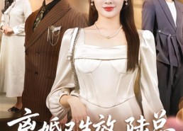 【离婚已生效，陆总你老婆不要你了】61集短剧免费在线观看不收费