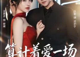 【算计着爱一场】81集免费短剧在线完整欣赏