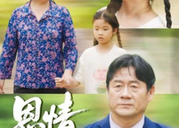 【恩情的种子】29集短剧免费在线尽情看