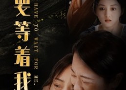 【你要等着我】85集短剧免费在线观看