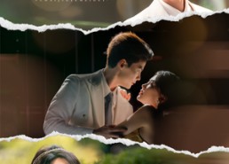 【拆家野玫瑰】80集在线免费短剧完整观看