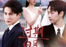 【过期白月光】80集短剧免费全集在线赏看