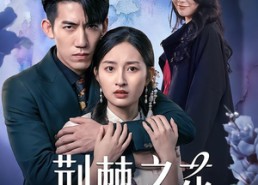 【荆棘之花】100集短剧免费尽情观看