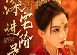 【深宅进阶录】80集短剧免费在线畅享观看