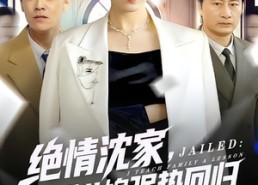 【绝情沈家，我带儿媳强势回归】80集短剧免费完整观看