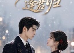 【雪落逢君归】116集热门短剧全集免费观