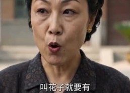 【从前说：炊烟笑过桃花村】114集短剧免费在线观映