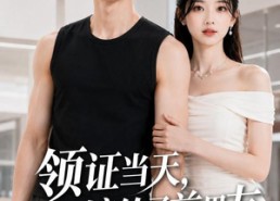 【领证当天，我嫁给了前男友】44集短剧在线免费览看