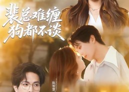 【裴总难缠狗都不谈】65集短剧全集免费直看