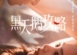 【黑天鹅攻略】65集短剧免费在线全集看