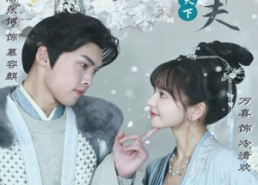 【权宠天下：医妃要休夫】94集短剧免费全集细看