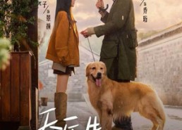 【乔医生，我想帮你收租】81集短剧全集免费在线赏