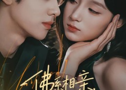 【佛系相亲，遇上较真搭档】91集短剧完整版在线播放