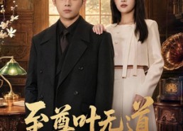 【至尊叶无道】76集短剧全集免费在线观看