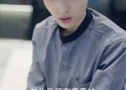 【替身娇妻：总裁追妻如命】83集短剧全集在线免费细观