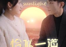 【恰似一道暖阳光】85集短剧免费在线赏看