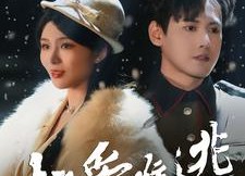 【劫爱难逃】30集短剧全集免费在线赏