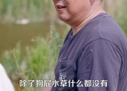 【神龙寻宝，乡下丫头封神了】100集短剧在线免费观影