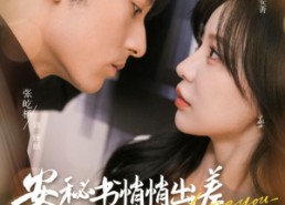 【安秘书悄悄出差气哭黏人顾总】81集短剧在线全集免费播