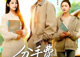 【分手费点燃首富梦】80集热门短剧免费赏览