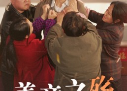 【善意之殇】30集高清短剧在线免费看