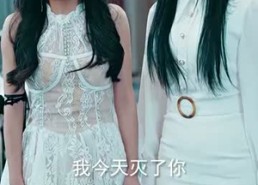 【皇】102集短剧免费在线畅快观看