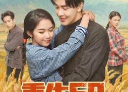 【重生60，哑巴媳妇太旺夫】80集精彩短剧在线免费看