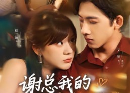 【谢总我的离婚费涨价了】75集短剧免费在线追看