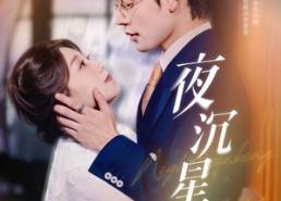 【夜沉星光】60集短剧在线免费完整观看