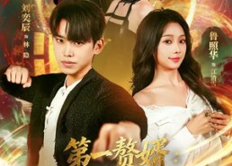 【第一赘婿：软饭硬吃，从卷哭老婆开始】69集短剧无删减免费看