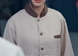 【长风漫漫漫星河】90集免费短剧完整在线观