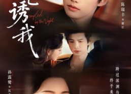 【夜色诱我】78集高清短剧在线观看