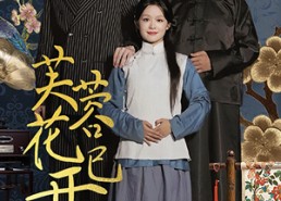 【芙蓉花已开】65集短剧全集免费在线赏