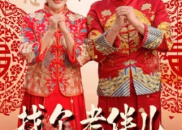 【找个老伴儿回村过年】58集短剧在线免费欣赏