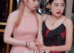 【女总裁的上门女婿】104集短剧免费尽情看