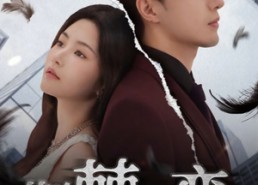 【荆棘之恋】60集高清短剧全集免费看