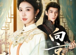 【向京志】80集热门短剧全集免费赏看