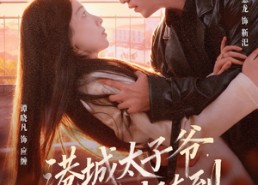 【港城太子爷，随叫随到】80集短剧免费在线全集赏