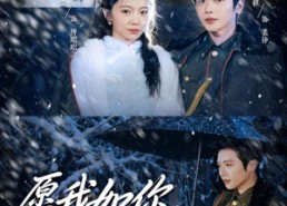 【愿我如你，铮铮不折】63集短剧全集免费观瞧